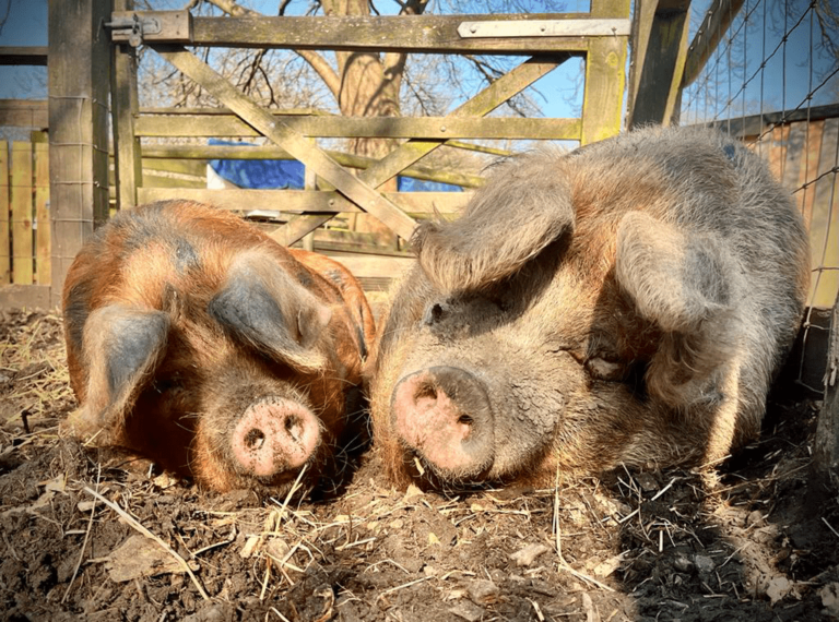 E7fdbe9e 0a7e 47d4 A680 136457932900 Min